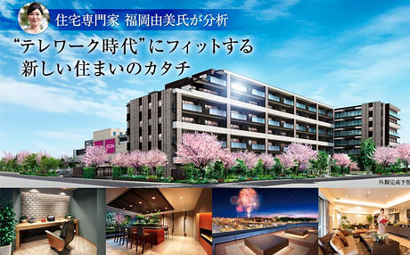 【2020年11月】取材・執筆4